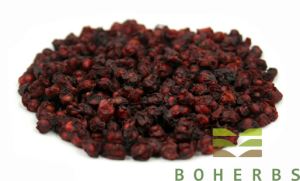 Schisandra Fruit Extract Powder Schizandra Berry Extract Nourish The Heart Schisandrins 2% 9%