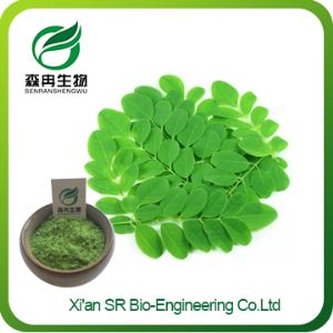 High Quality Organic Moringa Leaf Powder