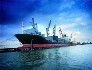 Service Sea Cargo Ocean Transportation China to Napier