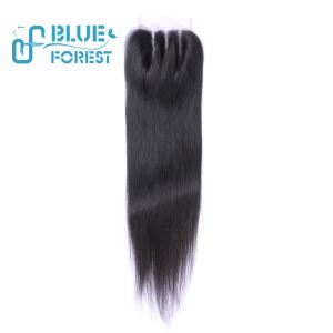BlueForest Hair Brazilian Straight Lace Closure Brazilian Virgin Hair Straight 4*4 Swiss Lace Closure Unprocessed Human Hair Closure
