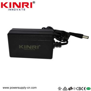 24W Horizontal Wall Mounted Power Adapter With IEC60950 And IEC60335 Certificate