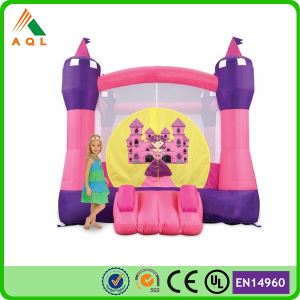 Funny And Crazy Cheap Amusement Park Inflatable Bouncer Castle