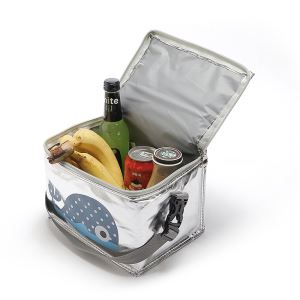 Insulated Folding Cooler Bag Small Meal Lunch Picnic Bag