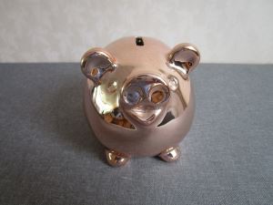 Child Gift Beautiful Piggy Bank
