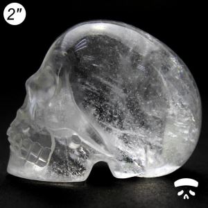 Hot Wholesale 2/3/4/5/6/10 Inch Natural Clear Rock Quartz Crystal Skull for Sale