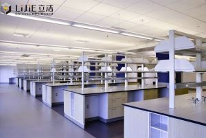 Lijie Solid Chemical Laboratory Lab Bench