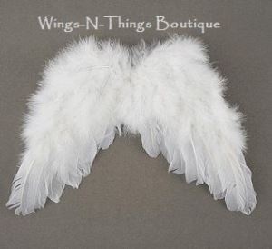 Costume Idea Funny Dark Angel Wings and Costume Hats from China
