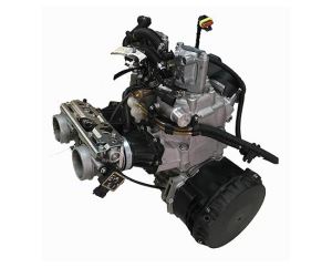 800CC 2 Stroke 2 Cylinder Snowmobile Engine 