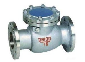 Flanged Stainess Steel Swing Check Valve
