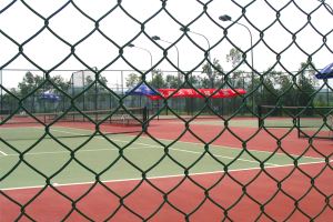 Galvanized, Vinyl Coated Chain Link Fencing, Chain Link System, Sport Fence