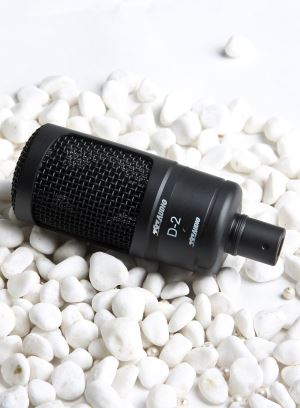 USB Back Electric Condenser Microphone for Music Recording