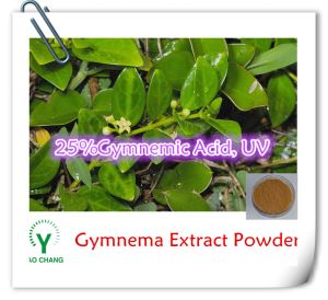 Natural Gymnema Extract Powder, Where to buy High Quality  Gymnema Powder