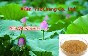 Lotus Leaf Extract, Wholesale Pure Natural Lotus Powder