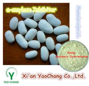 White Kidneybeans Extract, Organic White Kidneybeans Powder Supplier