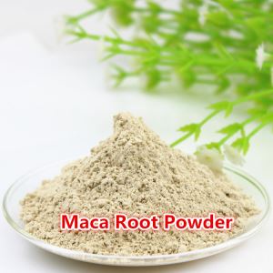 Where To Buy High Quality Maca Extract, 100% Natural Free Sample Maca Root Powder