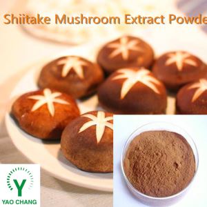 Shiitake Mushroom Extract Powder, Pure Natural Shiitake Mushroom Powder Suppliers