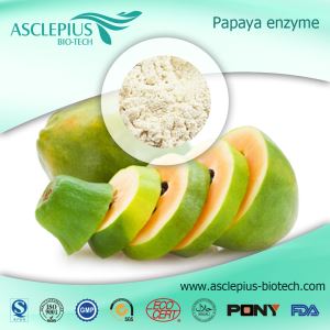 Best Price High Purity Plant Extract Papaya Enzyme Powder Papain Enzyme
