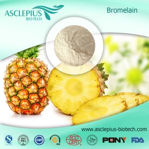 GMP Factory Supply Best Quality Bromelain/Pineapple Extract/ Bromelain Powder