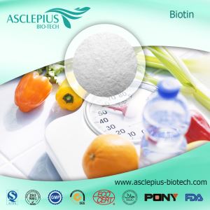 GMP Factory Supply Natural Biotin
