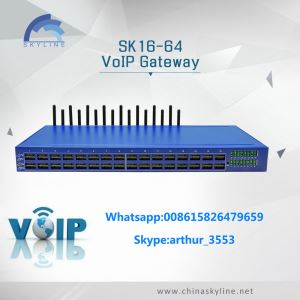 Best Buy SK16-64 Gsm Gateway Voip Device