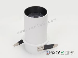 Spot Lamp Wall Washer Flexible IAN-H201