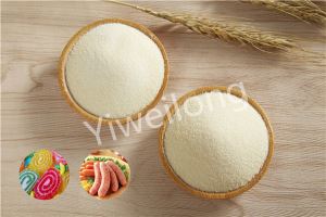 High Quality Factory Price Food Grade Gelatin Made In China