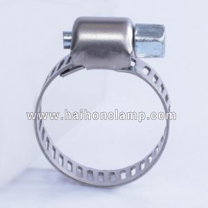 Stainless Steel Pretty American Type Style Type Hose Clamp Hose Clip