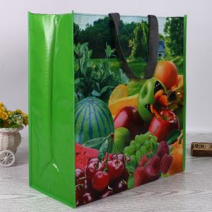 Top Brand in China Leader Manufacturer Factory Price Customized PP Laminated Bag for Shopping Recycled Colorful China PP Woven Bag, Laminated PP Woven Bag