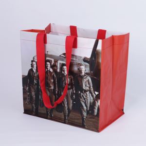 Factory PP Laminated Big Shopping Bag,bags Wholesale,heavy Duty Carry Bags Made in China,