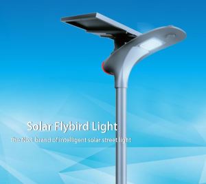 Modern Flybird Shape Super Bright 210LM/W Bridgelux Solar LED Street Lighting Solar Park Light IP65 with 3 Years Warranty
