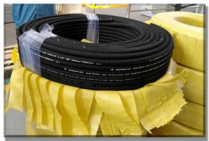 SAE100 R1A or DIN EN853 1ST hydraulic hose