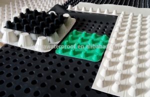 Dimpled Drain Sheets --HDPE Dimple Membrane
