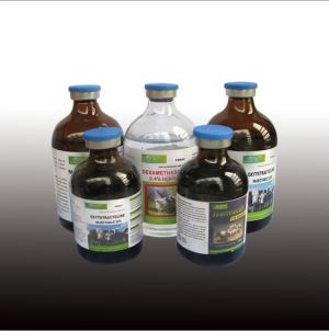 High Quality Effective Veterinary Medicine Tylosin Injection for Horses Cattle Pig Sheep