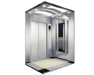 Black Bear Elevator Classical Decoration And Price For Machine Room Less Passenger Lift Passenger Elevator
