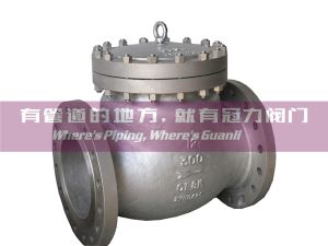 BS1868 Stainless Steel Check Valves