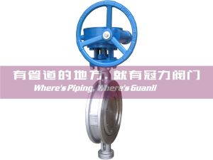 Wafer Triple Offset Butterfly Valves