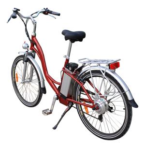Foldable Compact Folding Electric Bike With 36V Aluminum 20'' 250W Electric Folding Bike 250W