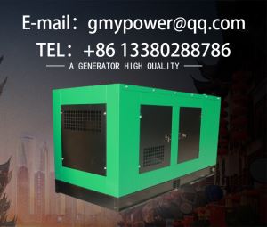 Frequent Use of Land Use Container Silent Generator Set