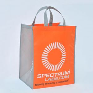 Plastic Gift Tote Bags