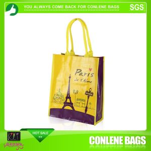 Bulk Promotional Cheapest Factory Direct PP Shopping Bag