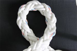 8 Strand Polypropylene Rope With Good Price