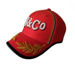 3D Embroidery Cap