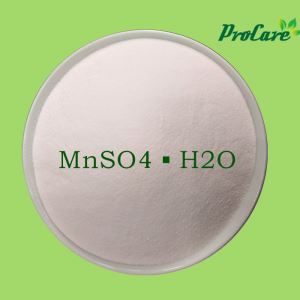 Procare Aricultural Grade High Quality Manganese Sulfate Micronutrients Fertilizer