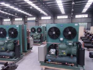 High-Quality Bitzer Condensing Units with Housing