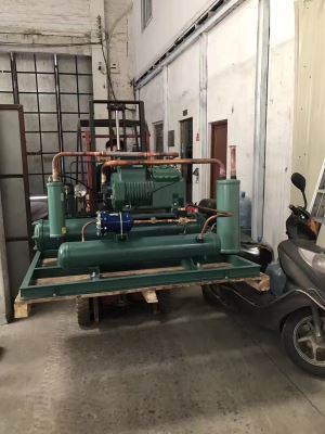 Bitzer Condensing Unit for Cold Room