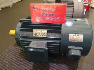 Advantages of Three Phase Induction Asynchronous Motors YVF2 Series Types, Uses and Voltage