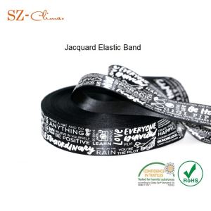 Custom Nylon Jacquard Logo Elastic Webbing Band