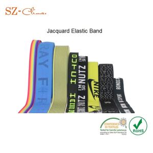 Wholesale Wide Colorful Fashion Decorative Jacquard Elastic Band