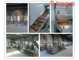 Turnkey Project Fruit and Vegetable Pulp/jam/puree/paste Processing Line