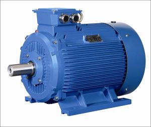 IE1 4 Poles Three-phase Totally Enclosed Electric AC Induction Motor